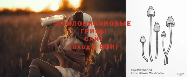 стафф Абдулино