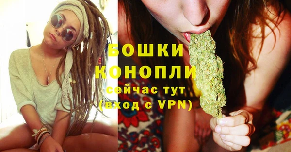 прущие грибы Новокубанск