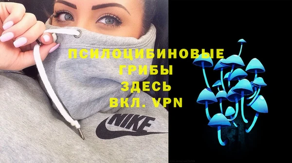 дживик Новодвинск