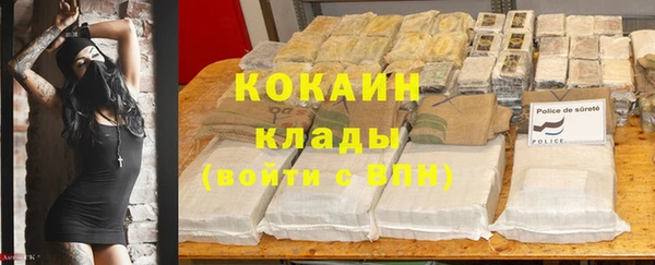 прущие крисы Новозыбков