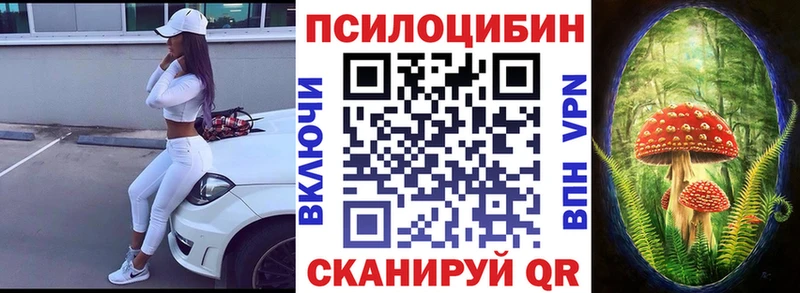 Псилоцибиновые грибы ЛСД  ОМГ ОМГ вход  Тимашёвск 